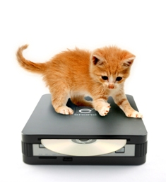 Illustration for article titled enano e2 is Like a Greener, Pricier Mac Mini